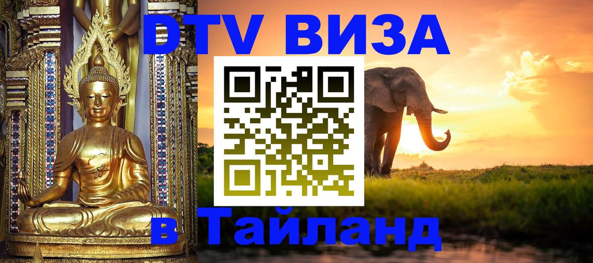 Сколько стоит DTV виза — актуальные цены, оформление даже без документов - Сухум  04.10.2025 